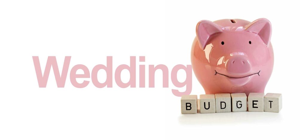A Pink Pig money bank with the words Wedding Budget